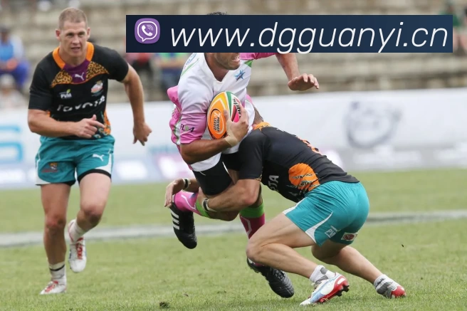 半岛·网站官网 - 半岛全站(中国)平台生态图